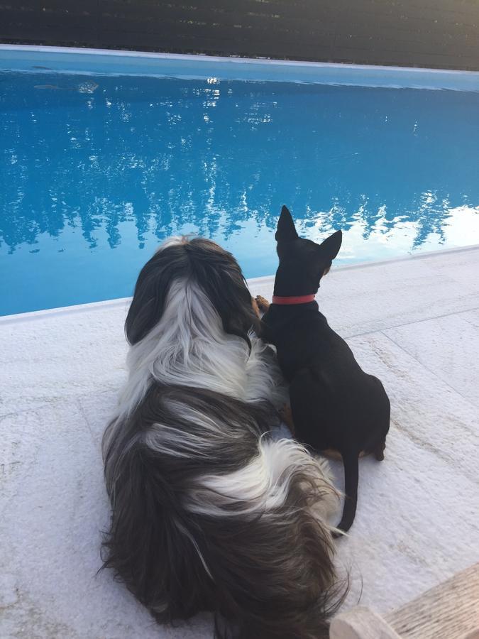 Villa Glyfada Spilia  외부 사진